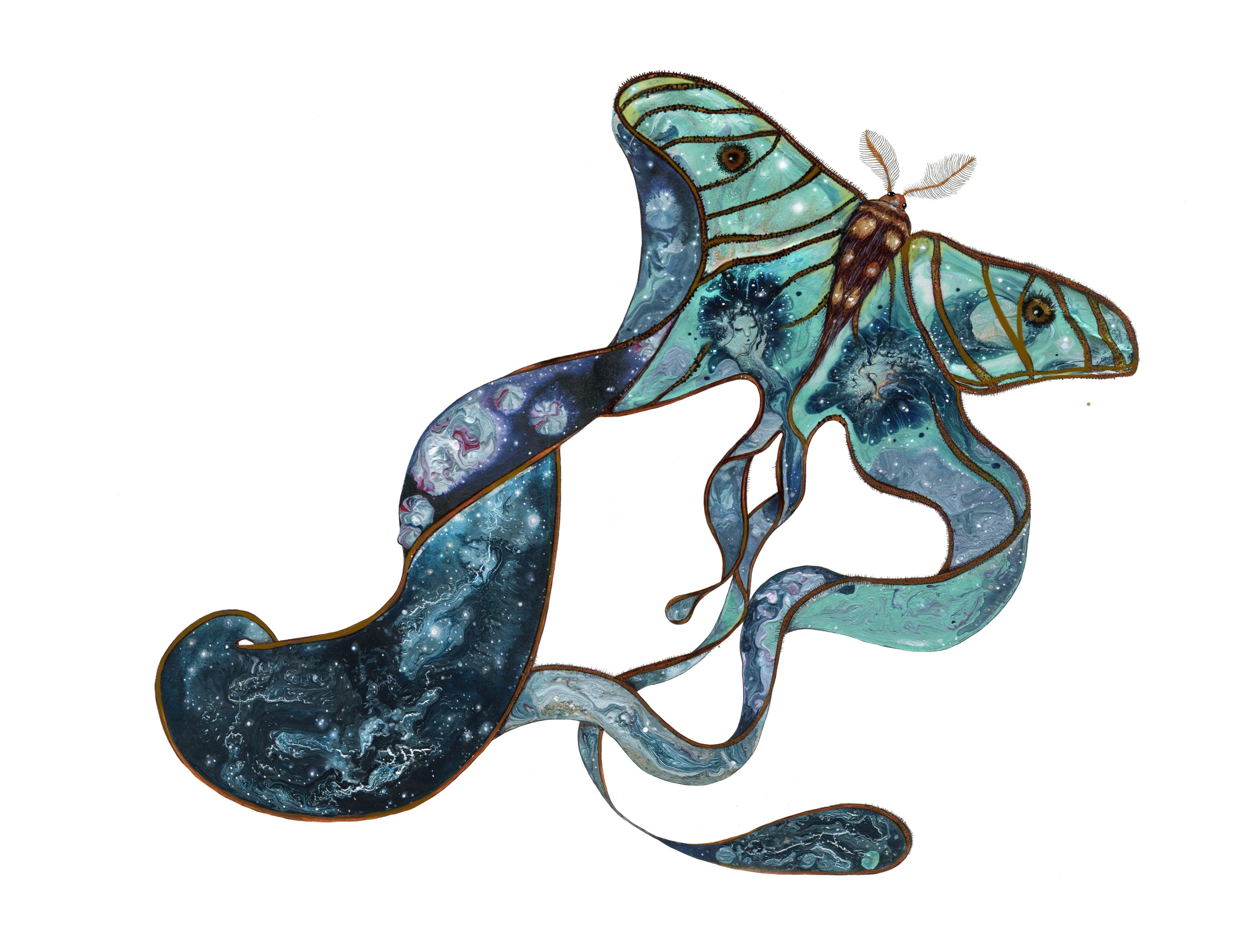 Cover udkast
Rusalka 